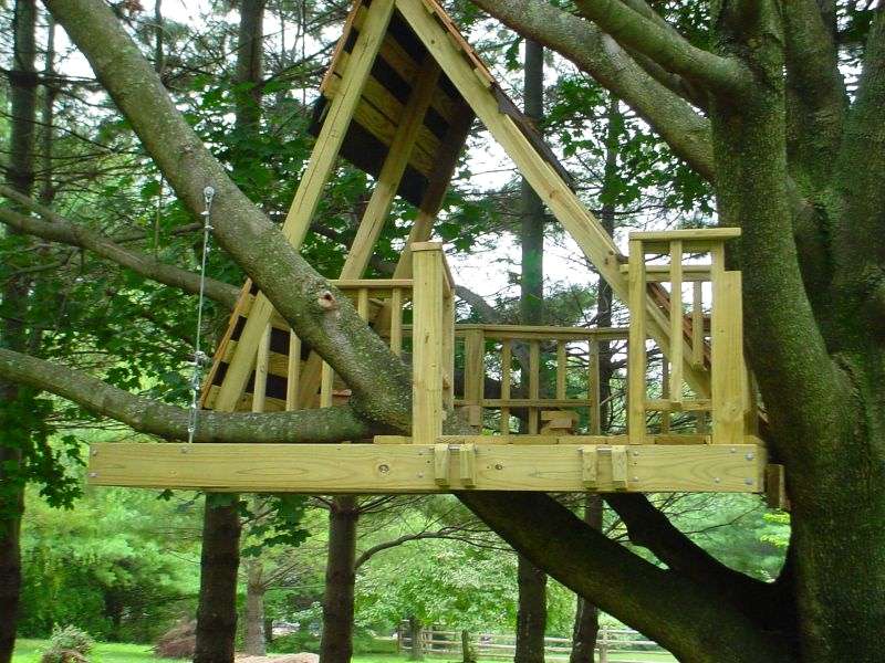 A-Frame Tree House - How to Build a Treehouse