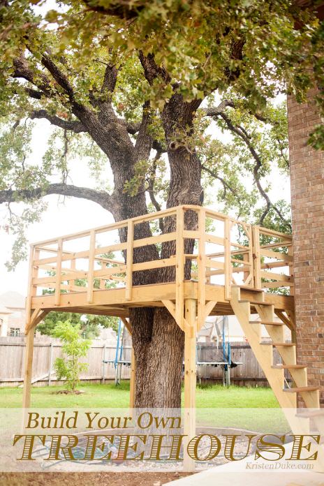 Build Your Own DIY Tree Deck Build Your Own DIY Tree Deck