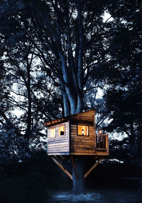 DIY Wood Sided Tree house in the Backyard