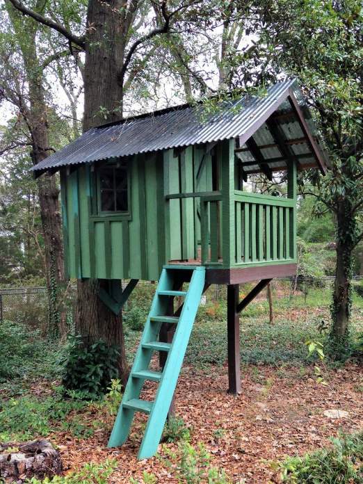 Simple Tree House DIY: Building Your Own Tree House By Charles Wesley Orton