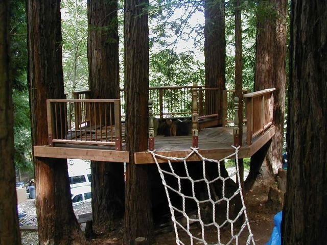 The 4 Steps DIY Tree Deck with Pictures The 4 Steps DIY Tree Deck with Pictures