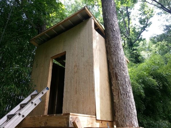 The 6 Phase to Build a Tree House The 6 Phase to Build a Tree House
