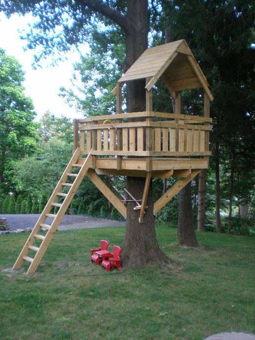 The Basic One Tree House The Basic One Tree House