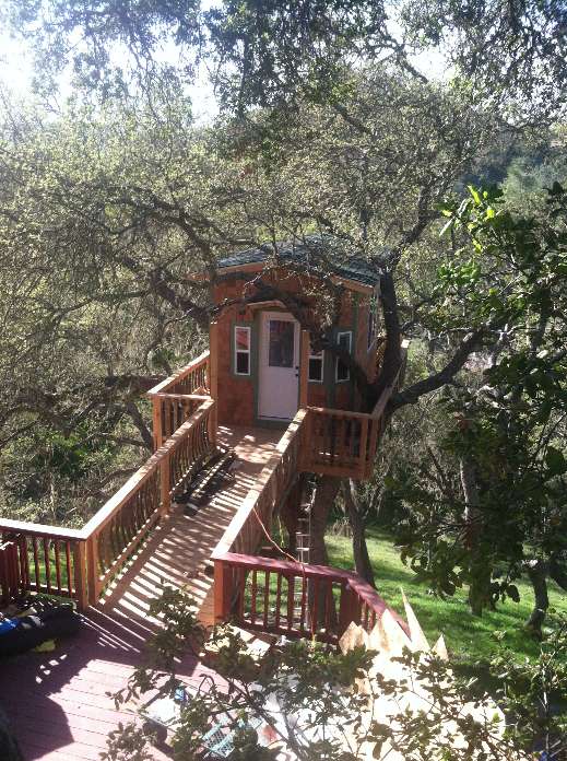 The Tree House With a Deck by ArborCasa