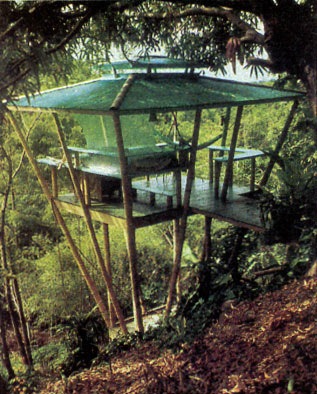 The Unique Mother Earth Tree House