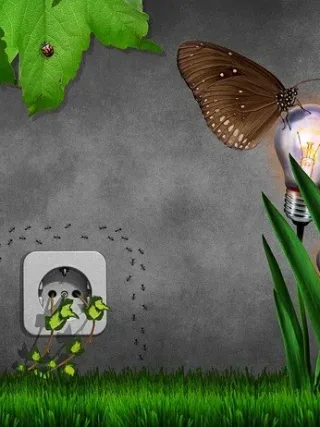 Featured image - Easy Tips on How to Save Energy at Home