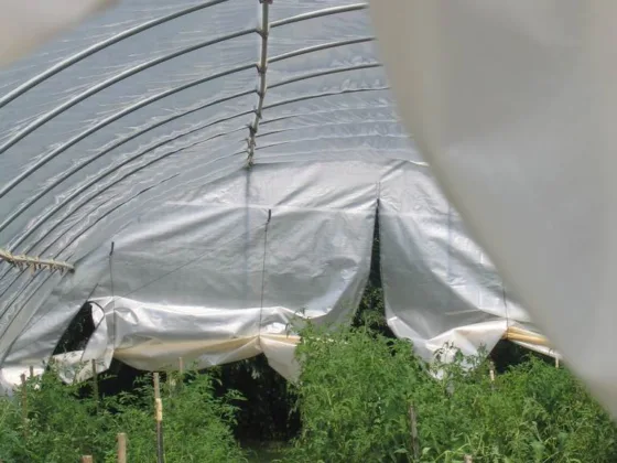 Instructions to Build a PVC Hoop House For Your Garden