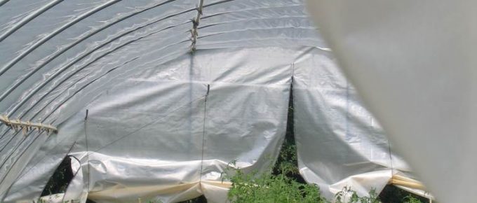 Instructions to Build a PVC Hoop House for Your Garden
