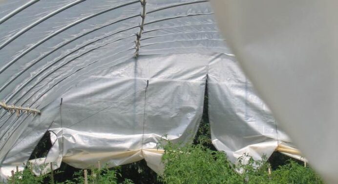 Instructions to Build a PVC Hoop House for Your Garden