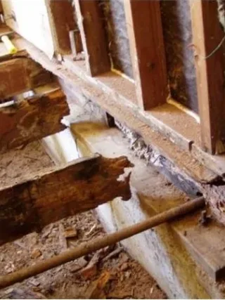 Featured of Need to Know How to Repair Dry Rot? Here Are Some Easy Instructions