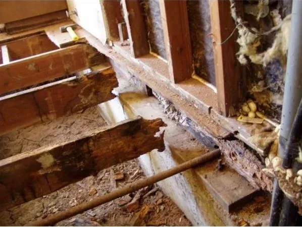 Featured of Need to Know How to Repair Dry Rot? Here Are Some Easy Instructions
