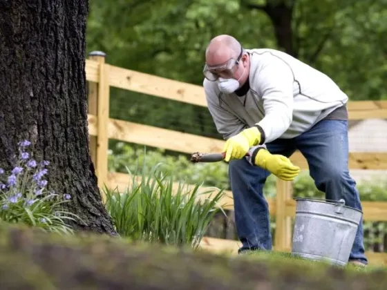 Featured of When to Fertilize a Lawn: Determining the Best Time to Fertilize a Lawn