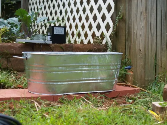 Featured of How to Make a Garden Fountain with a Flower Watering Can