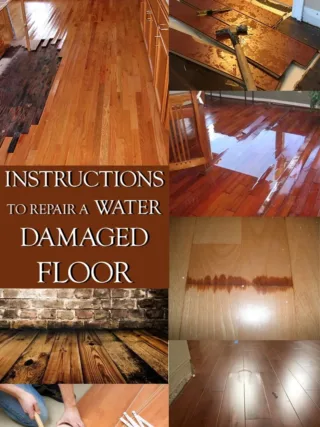Featured of How to Repair Water Damaged Floor