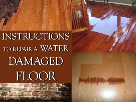 Featured of How to Repair Water Damaged Floor