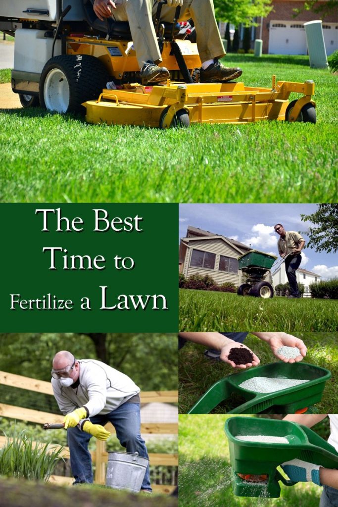 Frequently Asked Questions about the Best Time to Fertilize a Lawn
