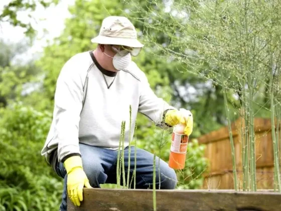 Featured of Cheap Garden Tips: How to Save Money on Garden Fertilizer