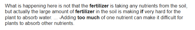 What happens if you put too much fertilizer on your lawn