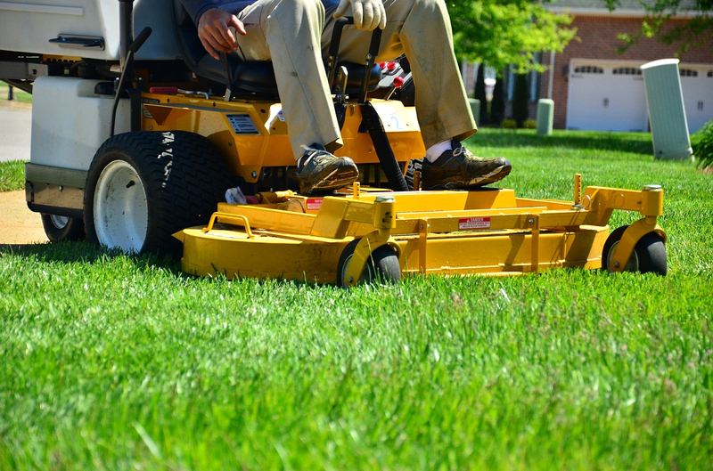 The Best Time to Fertilize a Lawn