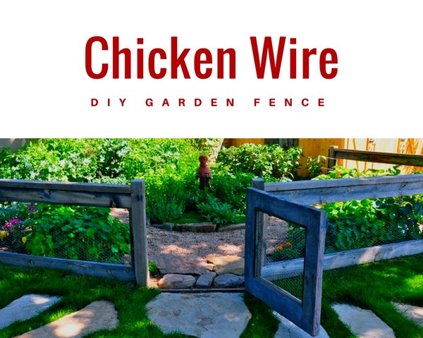 Chicken Wire DIY Garden Fence Chicken Wire DIY Garden Fence