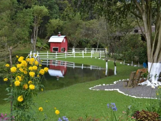 Featured of Creative Ways for Transitioning Your Garden From Spring to Summer