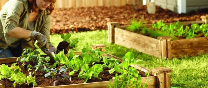 How to Make a Raised Bed in a Garden