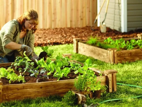 Featured of DIY Raised Bed Garden, How to Make a Raised Bed in a Garden