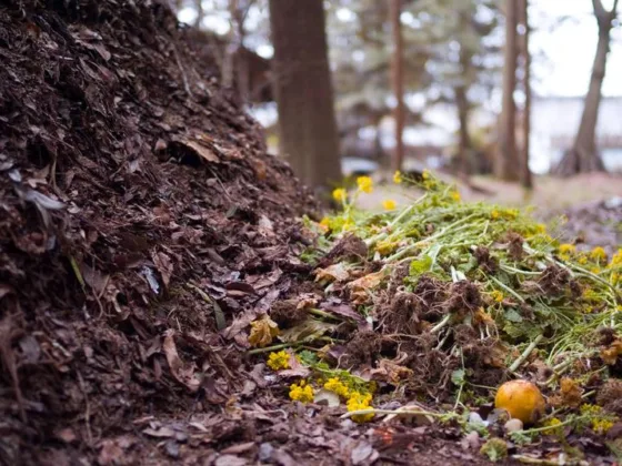 Featured of Gardening Composting Why and What