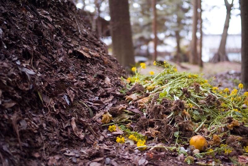 Neighbor's Compost: Gardening Composting Why and What Neighbor's Compost - Gardening Composting Why and What