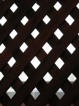 Featured of Guide to Staining Lattice: What's the Best Method