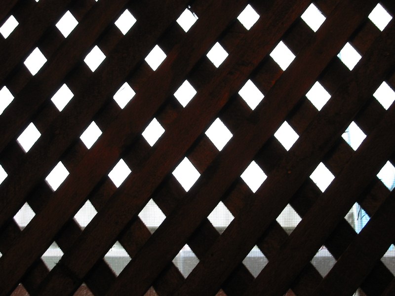 Guide to Staining Lattice: What's the Best Method? Guide to Staining Lattice: What's the Best Method?
