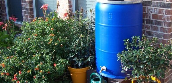 How to Conserve and Use Rainwater: Rainwater Harvesting