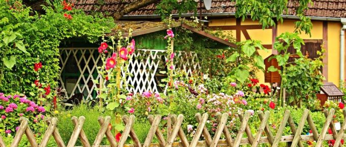 How to Create a Cottage Garden