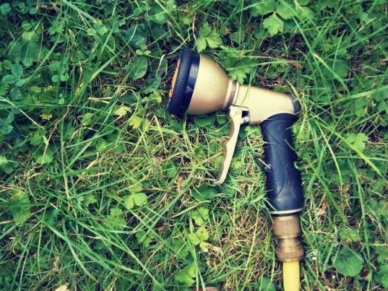 Featured image - How to Keep Watering the Garden with a Hose During Hosepipe Bans