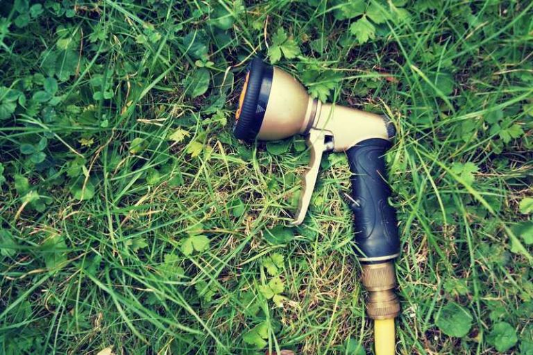 How to Keep Watering the Garden With a Hose During Hosepipe Bans