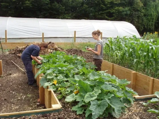 Featured of Raised Garden Beds for Disabled