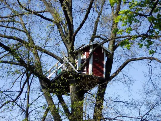 Featured of DIY Treehouse: How to Build a Treehouse