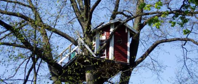 How to Build a Treehouse for Your Kids + 31 DIY Plans for a Tree House (100% Free)