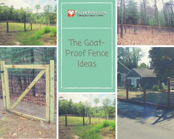The Goat-Proof Fence Ideas The Goat-Proof Fence Ideas