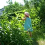 Featured of Tips for Gardening with Children