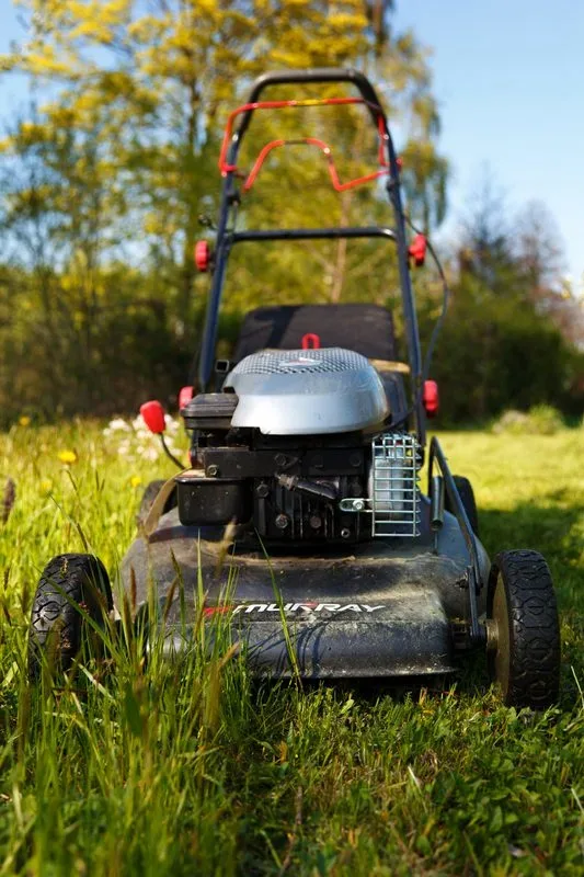 Featured of Spring's Here: Get Your Lawn Mower Ready to Work