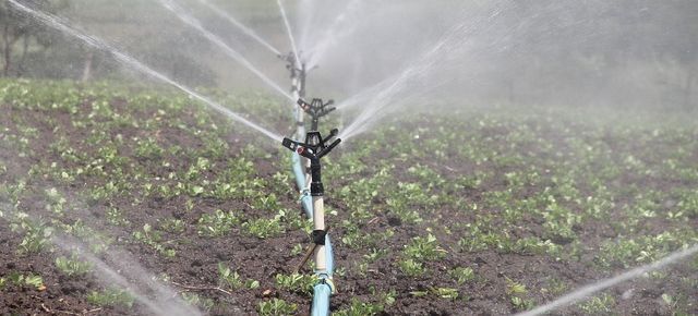 The Best Home Irrigation Systems for Watering Your Garden Plants