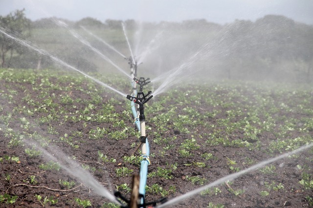 Sprinkler Irrigation Systems Sprinkler Irrigation Systems - The Best Home Irrigation Systems