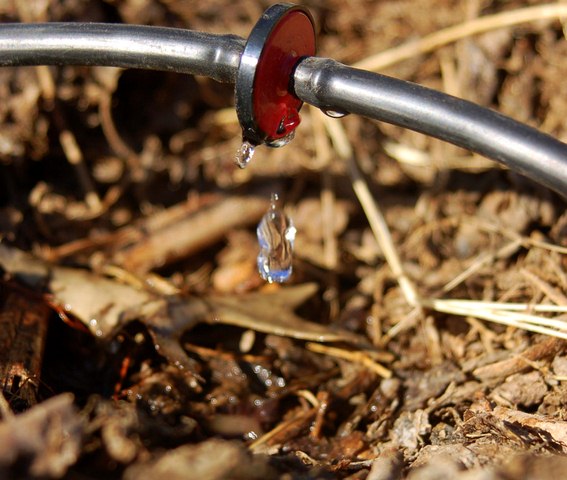 Best Home Irrigation Systems for Watering Your Garden Plants Best Home Irrigation Systems for Watering Your Garden Plants
