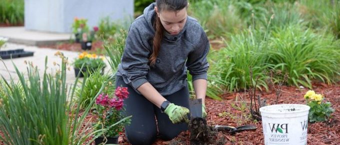Choosing Homemade Gardening Tonics for the Growth of your Garden