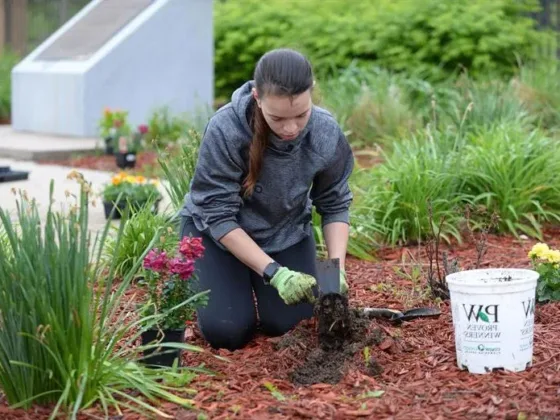 Featured of Choosing Homemade Garden Tonics for the Growth of your Garden
