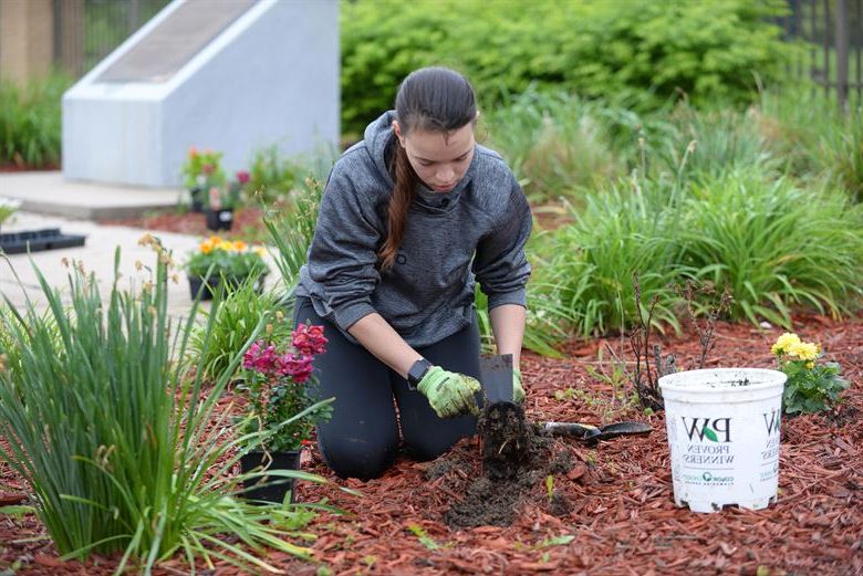 Choosing Homemade Garden Tonics for the Growth of your Garden Choosing Homemade Garden Tonics for the Growth of your Garden