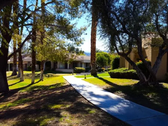 Featured of Growing Grass in Shady Areas