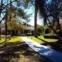 Featured of Growing Grass in Shady Areas