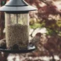 Featured of How to Save Your Bird Feeder (and Landscape) from Squirrels